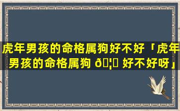 虎年男孩的命格属狗好不好「虎年男孩的命格属狗 🦅 好不好呀」